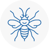 Bradley Stoke Hornet Nest Removals